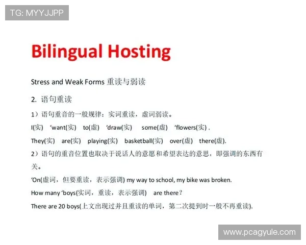 PA网站最新攻略与资源分享，助你轻松掌握游戏技巧与玩法秘籍